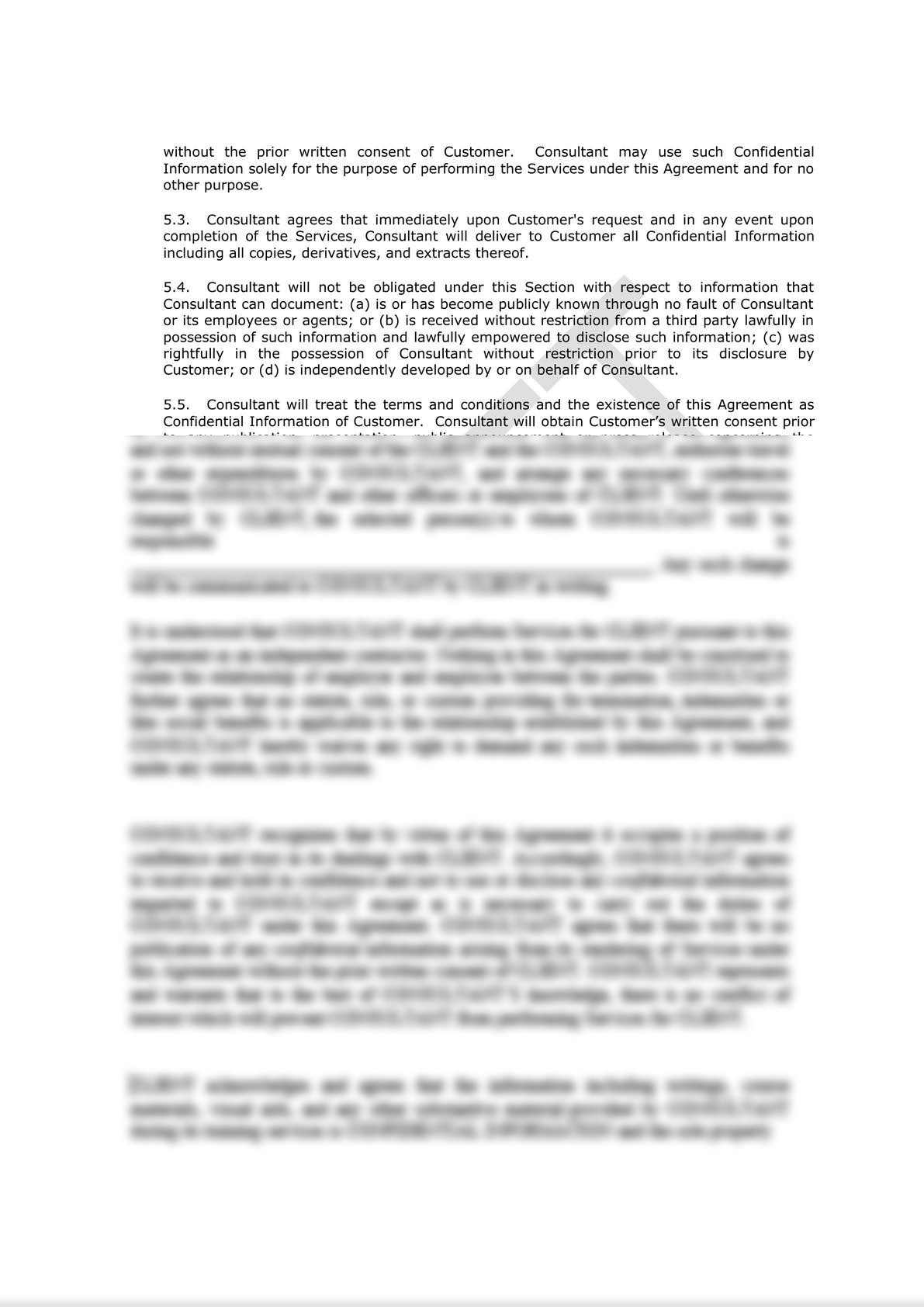 Software Consulting Agreement (Pro-Customer)-2
