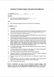 Employment Contract for Executive Director (Media Context)