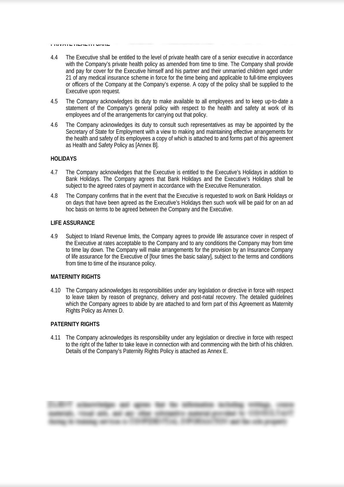 Employment Contract for Executive Director (Media Context)-3