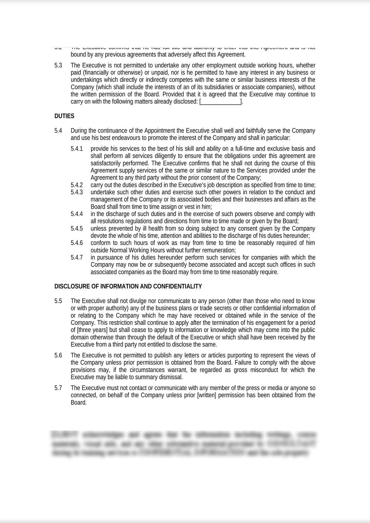 Employment Contract for Executive Director (Media Context)-6