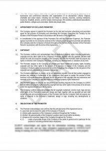 General Advertising & Promotion Agreement (Media Law)