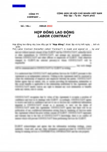 [LawPlus] Labor contract - Hop dong lao dong