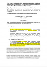 Lexub Shareholder s Agreement Term Sheet Philippines