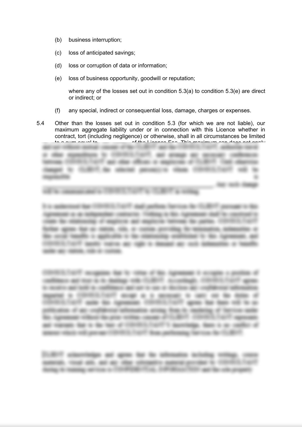 Software End User Licence Agreement-3