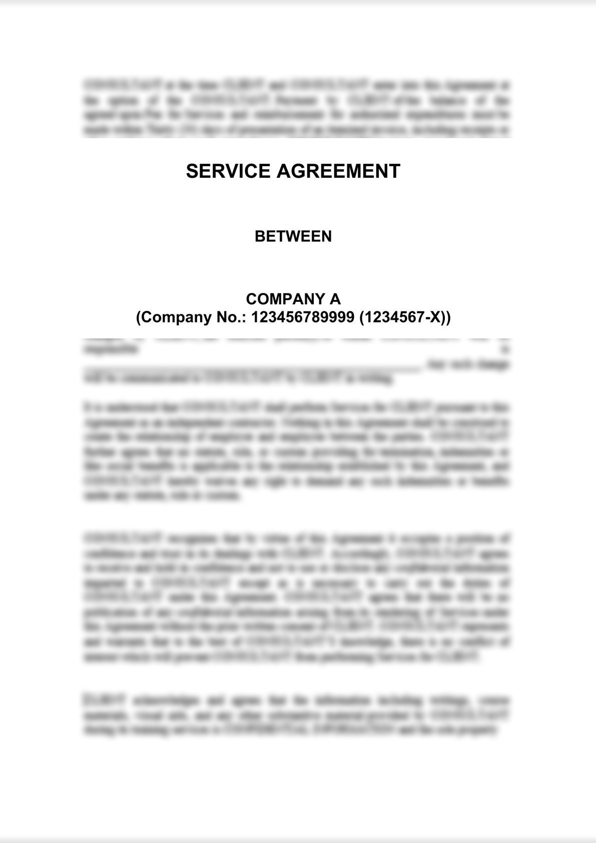 Service Agreement - Consultant -0