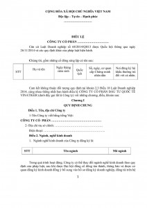 Charter Template for Joint Stock Company form in Vietnam